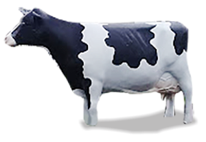 Tilly the cow statue at Toft Dairy on Venice Road in Sandusky